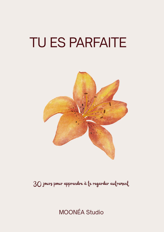 Couverture de l’ebook TU ES PARFAITE par MOONÉA Studio